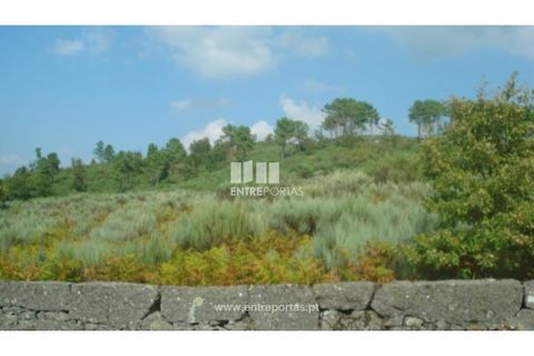 Helårsgrund i Ancede e Ribadouro, Porto, Ancede e Ribadouro - € 85.000 | Ref: MC06499 - foto 4