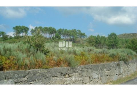 Helårsgrund i Ancede e Ribadouro, Porto, Ancede e Ribadouro - € 85.000 | Ref: MC06499 - foto 5