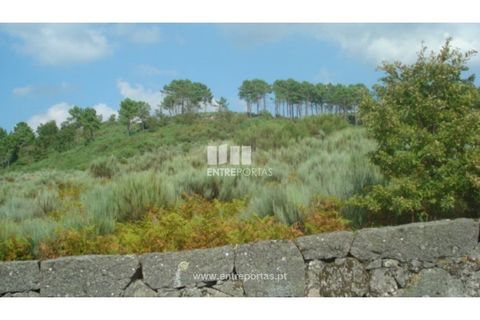 Helårsgrund i Ancede e Ribadouro, Porto, Ancede e Ribadouro - € 85.000 | Ref: MC06499 - foto 2