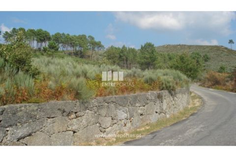 Helårsgrund i Ancede e Ribadouro, Porto, Ancede e Ribadouro - € 85.000 | Ref: MC06499 - foto 3