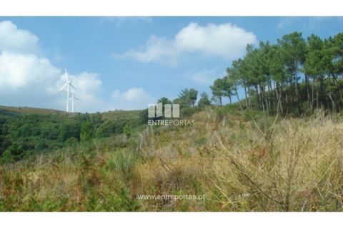 Terra a Ancede e Ribadouro, Porto, Ancede e Ribadouro - € 25.000 | Ref: MC06495 - foto 22
