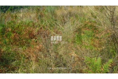 Helårsgrund i Ancede e Ribadouro, Porto, Ancede e Ribadouro - € 70.000 | Ref: MC06498 - foto 3