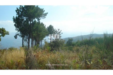 Helårsgrund i Ancede e Ribadouro, Porto, Ancede e Ribadouro - € 70.000 | Ref: MC06498 - foto 4