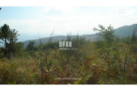 Helårsgrund i Ancede e Ribadouro, Porto, Ancede e Ribadouro - € 70.000 | Ref: MC06498 - foto 2