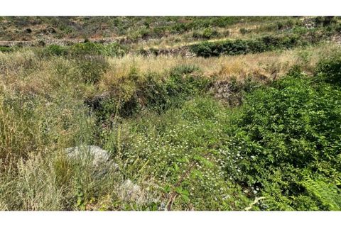 Tomt i Baiao, Porto, Baiao - € 27 000 | Ref: MC06749 - foto 2