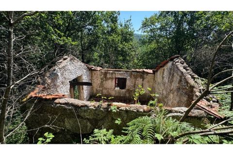 Tomt i Baiao, Porto, Baiao - € 27 000 | Ref: MC06749 - foto 9