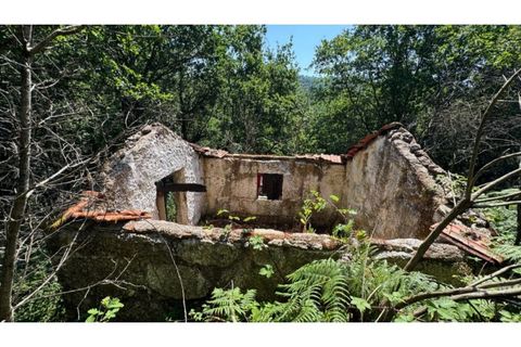 Tomt i Baiao, Porto, Baiao - € 27 000 | Ref: MC06749 - foto 10