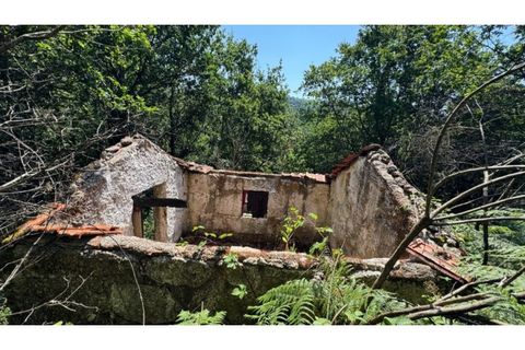 Tomt i Baiao, Porto, Baiao - € 27 000 | Ref: MC06749 - foto 13