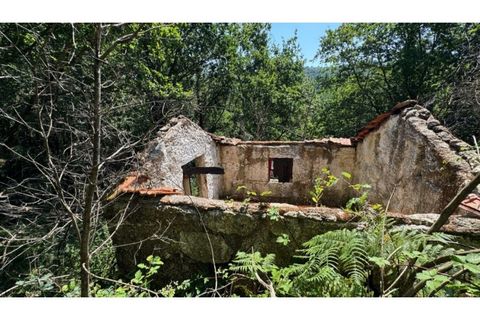 Tomt i Baiao, Porto, Baiao - € 27 000 | Ref: MC06749 - foto 24