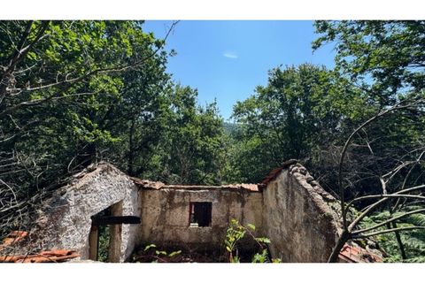 Tomt i Baiao, Porto, Baiao - € 27 000 | Ref: MC06749 - foto 30