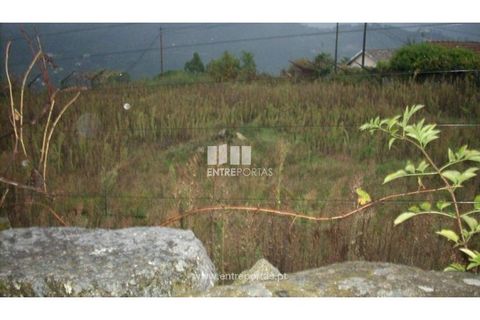 Helårsgrund i Ancede e Ribadouro, Porto, Ancede e Ribadouro - € 115.000 | Ref: MC00955 - foto 4