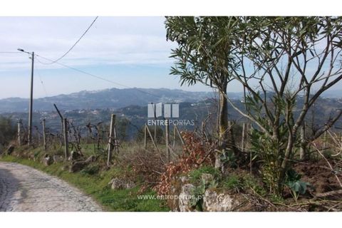 Helårsgrund i Banho e Carvalhosa, Porto, Banho e Carvalhosa - € 56.000 | Ref: MC02002 - foto 5