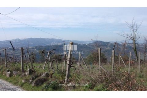 Helårsgrund i Banho e Carvalhosa, Porto, Banho e Carvalhosa - € 56.000 | Ref: MC02002 - foto 7