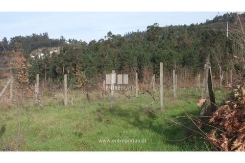 Helårsgrund i Banho e Carvalhosa, Porto, Banho e Carvalhosa - € 56.000 | Ref: MC02002 - foto 8