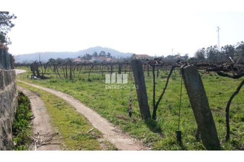 Helårsgrund i Darque, Viana do Castelo, Darque - € 47.000 | Ref: 6808 - foto 5