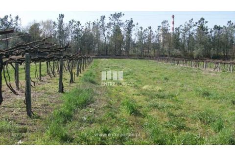Helårsgrund i Darque, Viana do Castelo, Darque - € 47.000 | Ref: 6808 - foto 25
