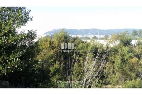 Helårsgrund i Darque, Viana do Castelo, Darque - € 57.000 | Ref: VCC07860 - foto 10