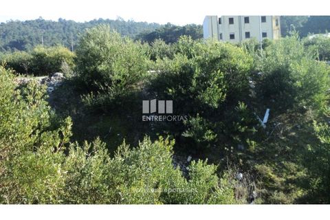 Helårsgrund i Darque, Viana do Castelo, Darque - € 57.000 | Ref: VCC07860 - foto 13