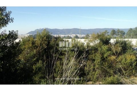 Helårsgrund i Darque, Viana do Castelo, Darque - € 57.000 | Ref: VCC07860 - foto 16