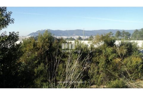 Helårsgrund i Darque, Viana do Castelo, Darque - € 57.000 | Ref: VCC07860 - foto 21