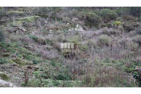 Terra a Venade e Azevedo, Viana do Castelo, Venade e Azevedo - € 40.000 | Ref: C00105 - foto 2