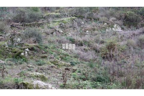 Terra a Venade e Azevedo, Viana do Castelo, Venade e Azevedo - € 40.000 | Ref: C00105 - foto 3