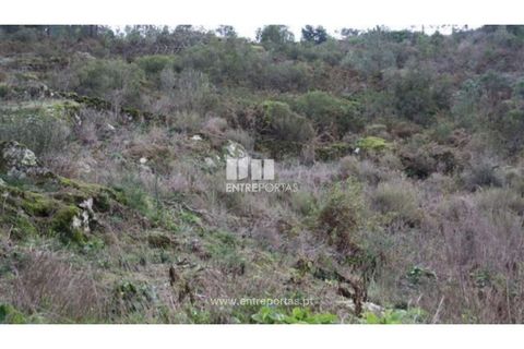 Terra a Venade e Azevedo, Viana do Castelo, Venade e Azevedo - € 40.000 | Ref: C00105 - foto 4