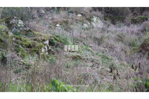 Terra a Venade e Azevedo, Viana do Castelo, Venade e Azevedo - € 40.000 | Ref: C00105 - foto 5