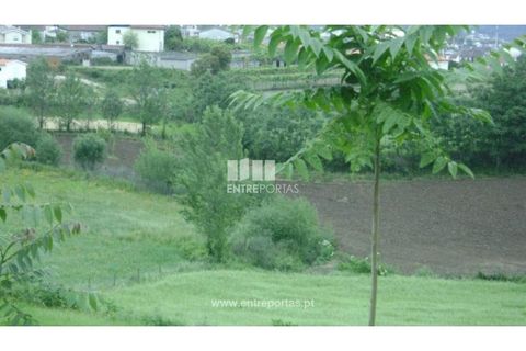 Helårsgrund i Amarante, Porto, Amarante - € 100.000 | Ref: MC03318 - foto 4
