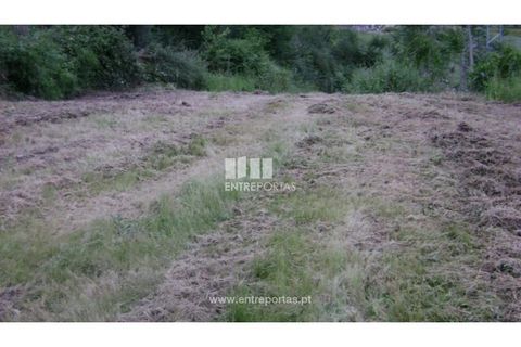Helårsgrund i Amarante, Porto, Amarante - € 100.000 | Ref: MC03318 - foto 5