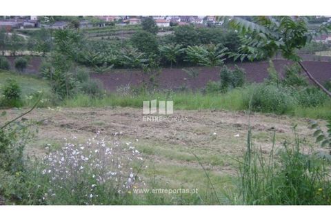 Helårsgrund i Amarante, Porto, Amarante - € 100.000 | Ref: MC03318 - foto 7