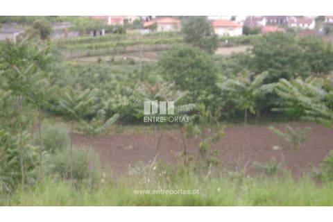 Helårsgrund i Amarante, Porto, Amarante - € 100.000 | Ref: MC03318 - foto 8