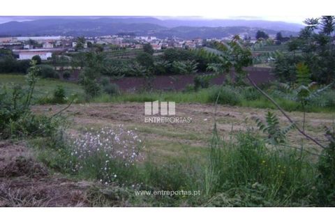 Helårsgrund i Amarante, Porto, Amarante - € 100.000 | Ref: MC03318 - foto 9