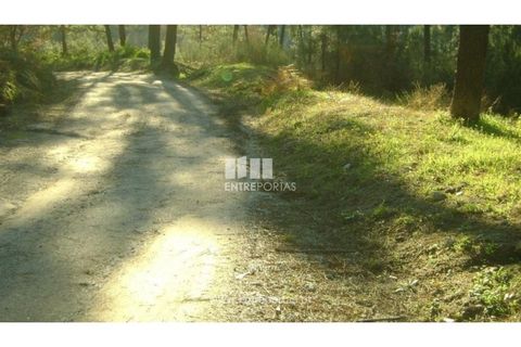 Helårsgrund i Banho e Carvalhosa, Porto, Banho e Carvalhosa - € 49.000 | Ref: MC03438 - foto 3