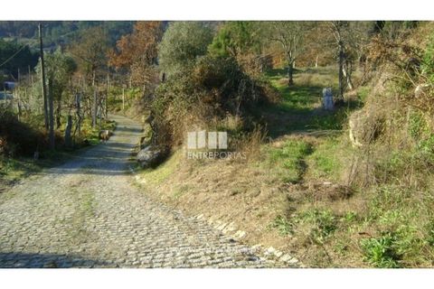 Helårsgrund i Banho e Carvalhosa, Porto, Banho e Carvalhosa - € 49.000 | Ref: MC03438 - foto 2
