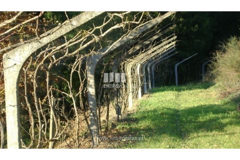 Helårsgrund i Banho e Carvalhosa, Porto, Banho e Carvalhosa - € 49.000 | Ref: MC03438 - foto 5