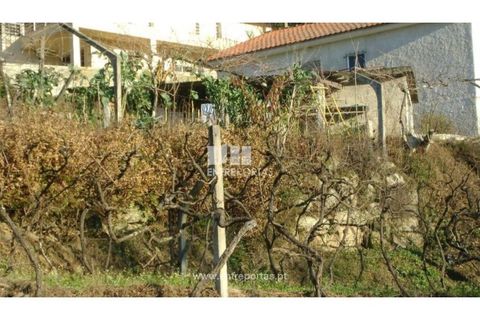 Helårsgrund i Banho e Carvalhosa, Porto, Banho e Carvalhosa - € 49.000 | Ref: MC03438 - foto 6