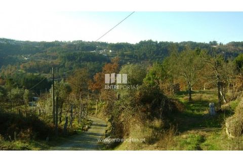 Helårsgrund i Banho e Carvalhosa, Porto, Banho e Carvalhosa - € 49.000 | Ref: MC03438 - foto 7