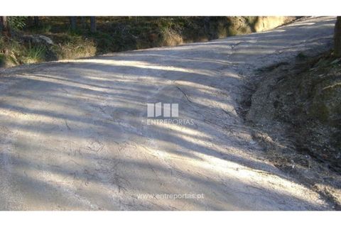 Helårsgrund i Banho e Carvalhosa, Porto, Banho e Carvalhosa - € 49.000 | Ref: MC03438 - foto 9