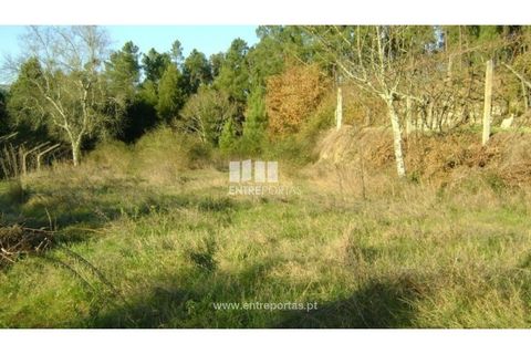 Helårsgrund i Banho e Carvalhosa, Porto, Banho e Carvalhosa - € 49.000 | Ref: MC03438 - foto 10