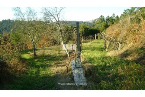 Helårsgrund i Banho e Carvalhosa, Porto, Banho e Carvalhosa - € 49.000 | Ref: MC03438 - foto 11