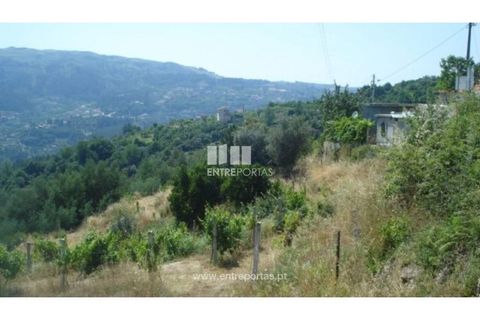 Helårsgrund i Ancede e Ribadouro, Porto, Ancede e Ribadouro - € 27.500 | Ref: MC03471 - foto 1