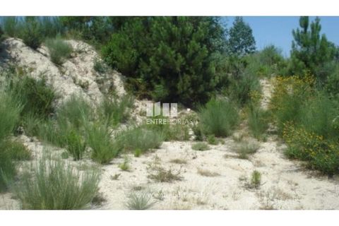 Helårsgrund i Ancede e Ribadouro, Porto, Ancede e Ribadouro - € 27.500 | Ref: MC03471 - foto 2