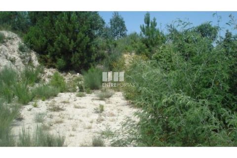 Helårsgrund i Ancede e Ribadouro, Porto, Ancede e Ribadouro - € 27.500 | Ref: MC03471 - foto 4