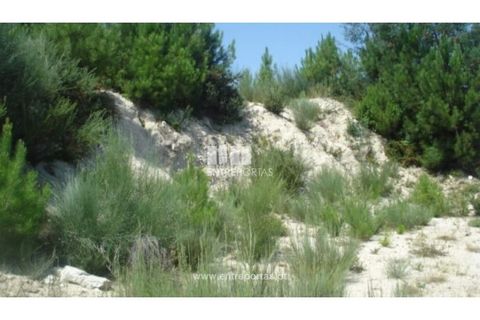 Helårsgrund i Ancede e Ribadouro, Porto, Ancede e Ribadouro - € 27.500 | Ref: MC03471 - foto 5