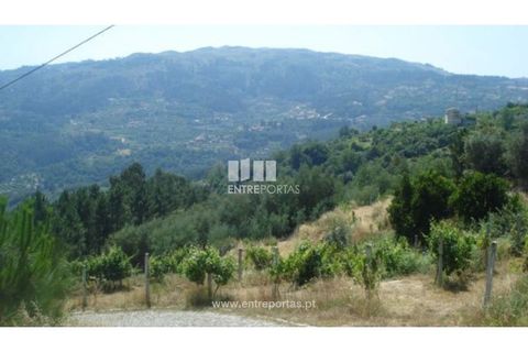 Helårsgrund i Ancede e Ribadouro, Porto, Ancede e Ribadouro - € 27.500 | Ref: MC03471 - foto 8