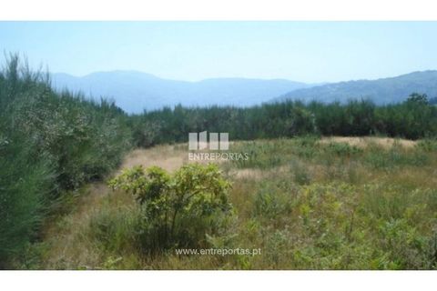 Terra a Ancede e Ribadouro, Porto, Ancede e Ribadouro - € 22.500 | Ref: MC03472 - foto 2