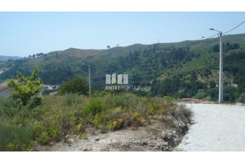 Terra a Ancede e Ribadouro, Porto, Ancede e Ribadouro - € 22.500 | Ref: MC03472 - foto 11