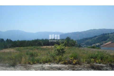 Terra a Ancede e Ribadouro, Porto, Ancede e Ribadouro - € 22.500 | Ref: MC03472 - foto 13