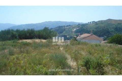 Terra a Ancede e Ribadouro, Porto, Ancede e Ribadouro - € 22.500 | Ref: MC03472 - foto 14